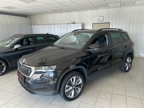 Skoda Karoq 2.0 Style 4x4 LED-Matrix  Navi Kamera AHK